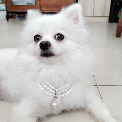 Royal-Style Cat Pearl Necklace