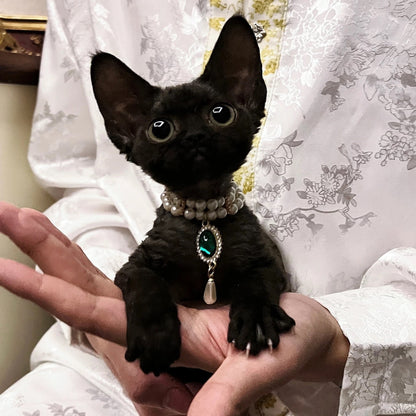 Royal-Inspired Cat Necklace with Jewels