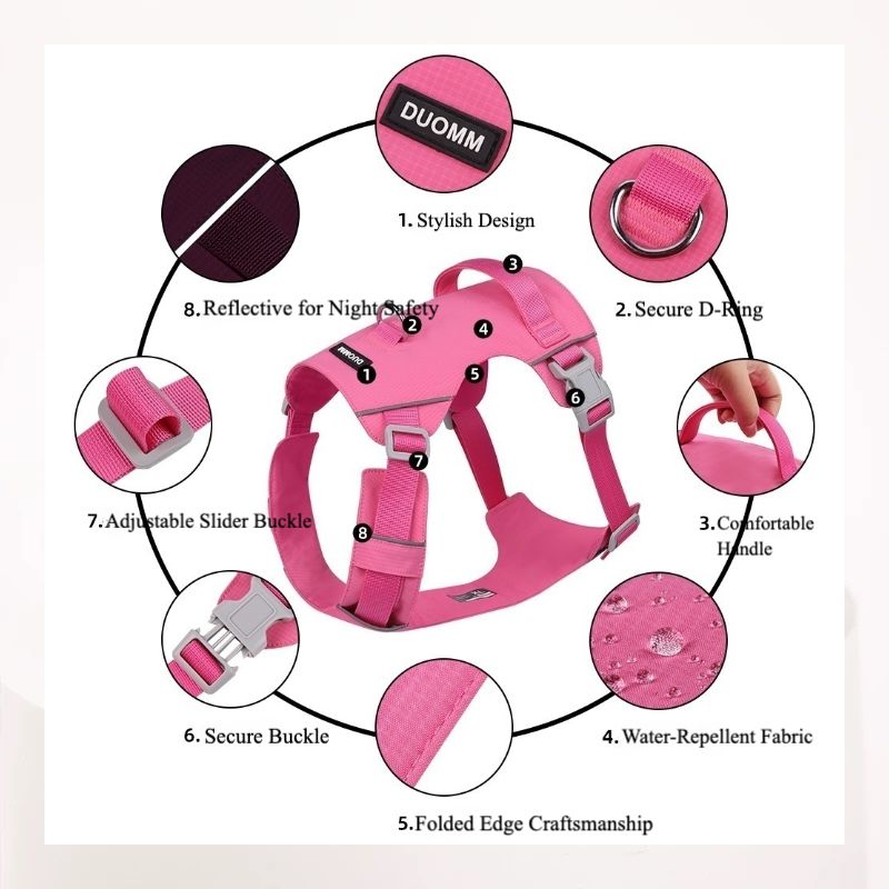 Adventure Dog Harness