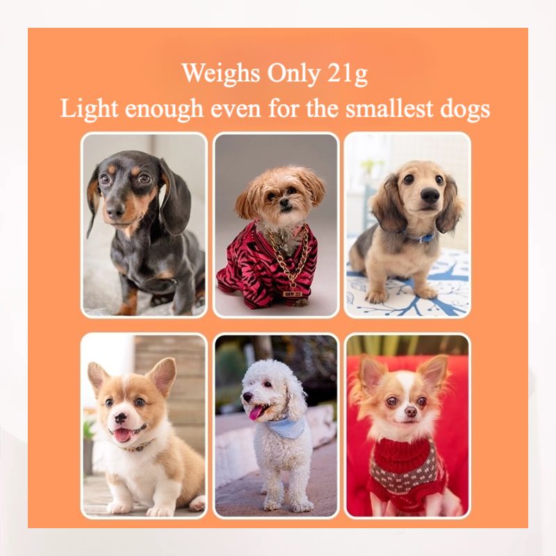 Octopus Glow Pendant