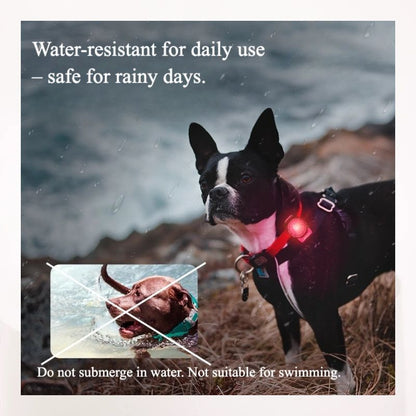 LED Glow Pendant – 3 Light Modes | Anti-Loss & Safety Alert