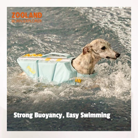 Durable Dog Swimwear with Strong Buoyancy