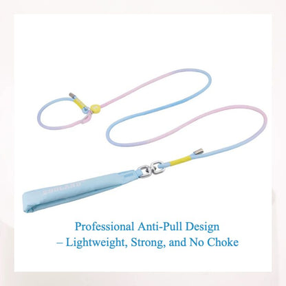 Rainbow-Colored Anti-Pull Leash