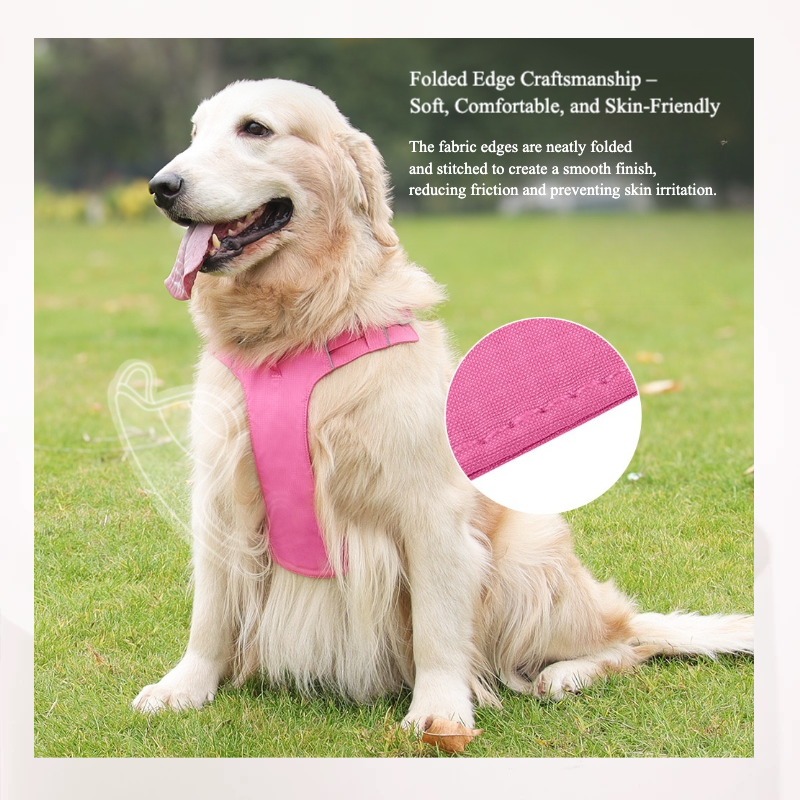 Adventure Dog Harness